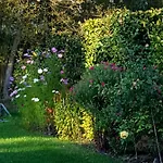 Bed & Breakfast Au Fond Des Rys 3*