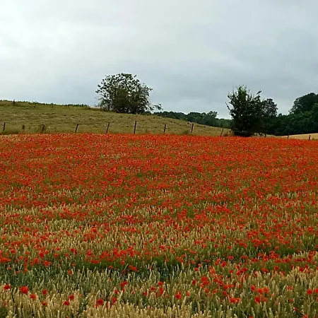 Au Fond Des Rys